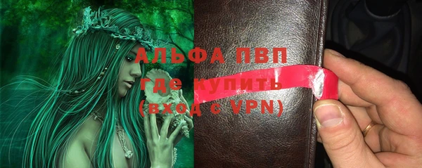 прущий лед Абаза